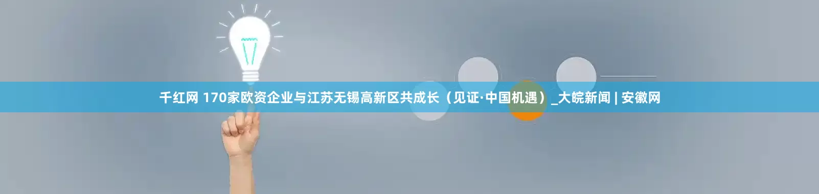 千红网 170家欧资企业与江苏无锡高新区共成长（见证·中国机遇）_大皖新闻 | 安徽网