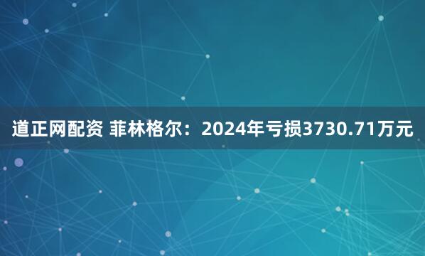 道正网配资 菲林格尔：2024年亏损3730.71万元